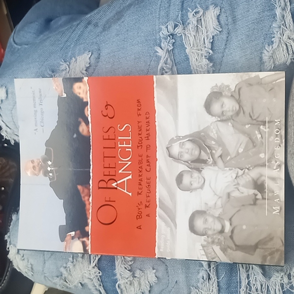 Book of beetles & angels - Picture 1 of 4